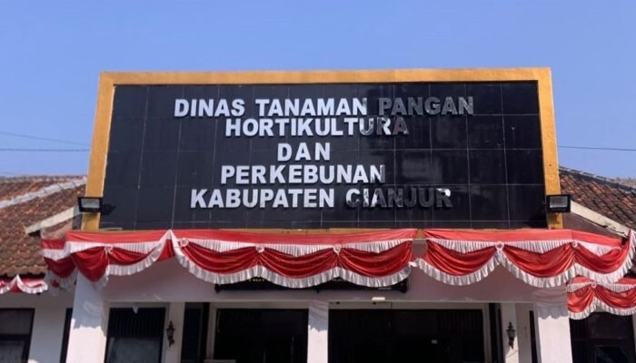 Kemarau Ancam 960 Hektare Sawah, Cianjur Bangun 15 Titik Irigasi Perpompaan