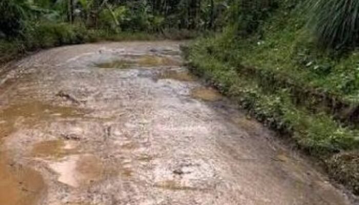 Lama Dikeluhkan Warga, Jalan Banjarwangi – Singajaya Dapat Suntikan Dana Rp. 42 Miliar