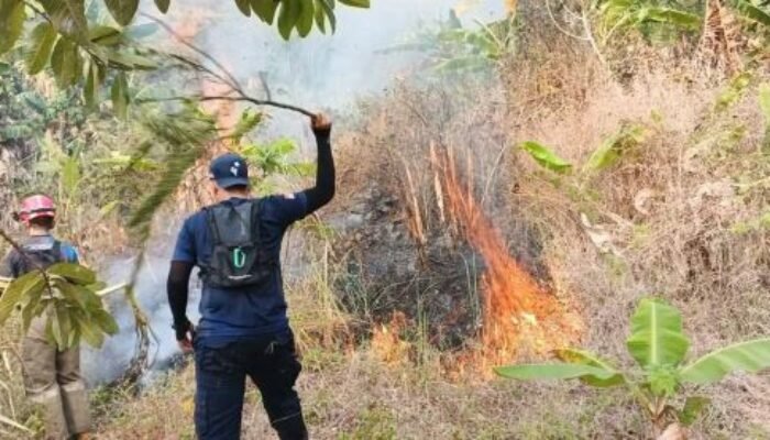 Kebakaran Lahan Dekat Gunung Jayanti, Damkar Sukabumi Berjibaku di Medan Terjal