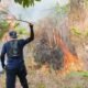 Kebakaran Lahan Dekat Gunung Jayanti, Damkar Sukabumi Berjibaku di Medan Terjal