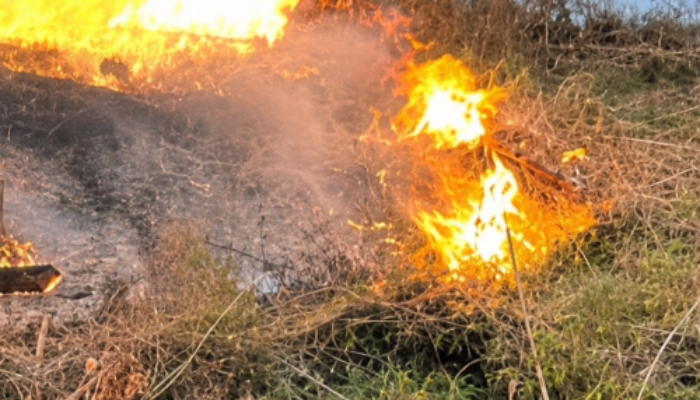18 Hektare Lahan Perhutani di Jampangtengah Sukabumi Terbakar, Diduga Sengaja Dibakar
