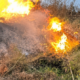 18 Hektare Lahan Perhutani di Jampangtengah Sukabumi Terbakar, Diduga Sengaja Dibakar