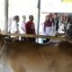 Pemprov Jabar Salurkan 24 Bibit Sapi Potong ke Tiga Kelompok Peternak