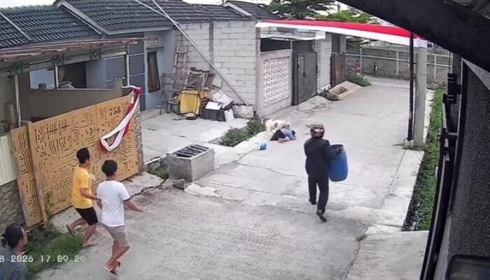Anak 9 Tahun Diserang Pitbull di Bandung, Luka Berat; Polisi Selidiki Pemilik Anjing