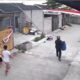Anak 9 Tahun Diserang Pitbull di Bandung, Luka Berat; Polisi Selidiki Pemilik Anjing