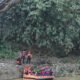 ASN Pemkot Bogor Diduga Terjatuh ke Sungai Cisadane, Tim Gabungan Masih Cari Korban