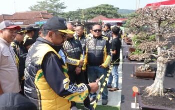 Festival Bonsai Jampangtengah Dorong Ekonomi Kreatif Sukabumi