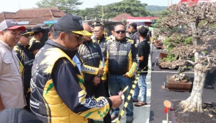 Festival Bonsai Jampangtengah Dorong Ekonomi Kreatif Sukabumi
