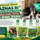 Peternak Binaan BAZNAS RI Terapkan Pertanian Terpadu, Limbah Domba Disulap Jadi Pupuk Organik