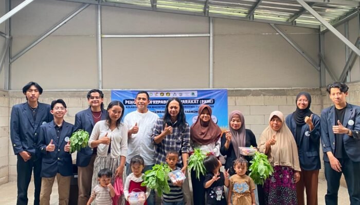 Panen Sayuran Tutup KKN Konversi UIN SGD Bandung, 50 Anak Terima Paket Makanan Bergizi