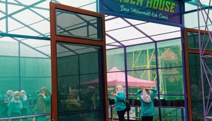 PKK Desa Mekarmukti Dukung Ketahanan Pangan, Tanam Beragam Komoditas di Green House Desa