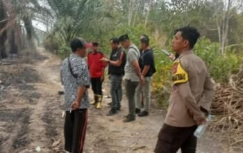 Polres Ogan Ilir Selidiki Kebakaran Kebun Sawit di Pulau Semambu