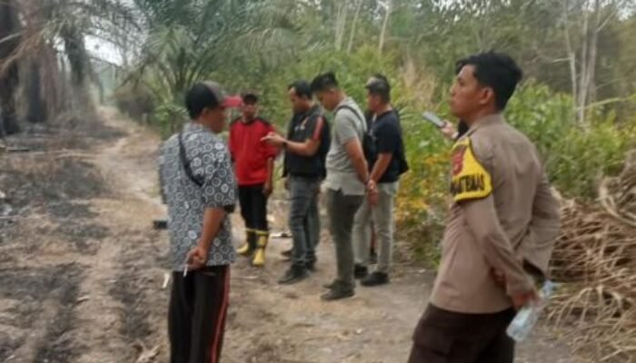 Polres Ogan Ilir Selidiki Kebakaran Kebun Sawit di Pulau Semambu