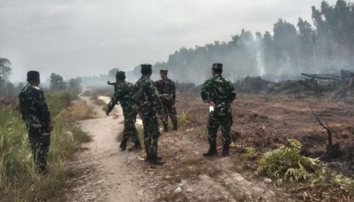 TNI AL Turun Gunung Cegah Karhutla di Kaltim, Sasar Desa ke Desa: Jangan Bakar Lahan !