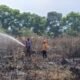 Lima Titik Karhutla Serempak di Cianjur, 1,5 Hektare Lahan Terbakar