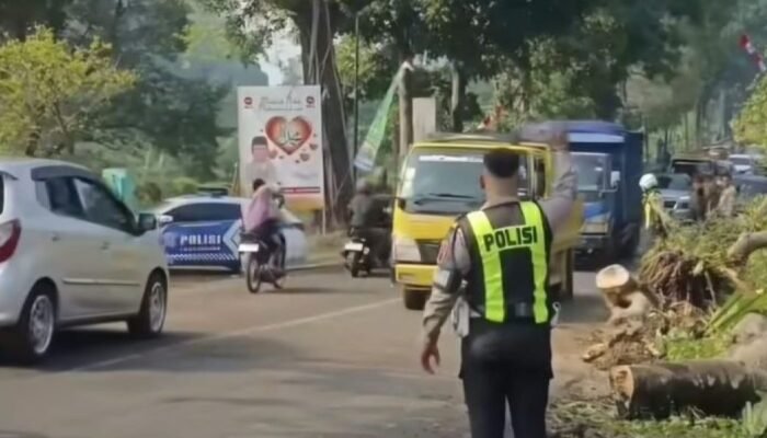 Pohon Tumbang Tutup Jalur Puncak – Cianjur, Antrean Kendaraan Capai 4 Kilometer