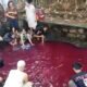 Viral Air Kolam di Gunung Sindur Berubah Merah, DLH Duga Akibat Pewarna Kain