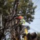 Pemkot Bandung Beri Operator 14 Hari Pulihkan Internet, Penataan Kabel Dilanjutkan 27 Oktober