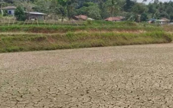 Cianjur Perpanjang Status Siaga Kekeringan hingga November 2026