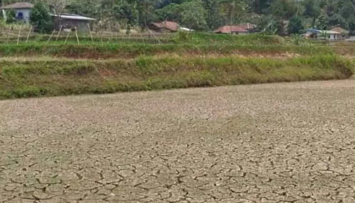 Cianjur Perpanjang Status Siaga Kekeringan hingga November 2026
