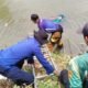 Tak Hanya Padamkan Api, Damkar Garut Juga Evakuasi Hewan Hingga Bantu Warga dalam Situasi Darurat