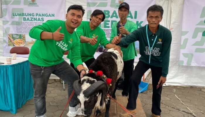 Satu Domba, Satu Cerita Pemberdayaan: Balai Ternak Jatimekar Unjuk Potensi di Mini Exhibition BAZNAS