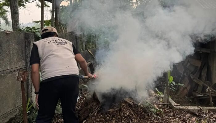 Stop Bakar Sampah ! DLHK Depok Ingatkan Asapnya Bikin Sesak, Apinya Bisa Bakar Rumah