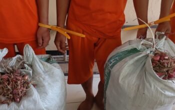Tiga Pelaku Pencurian Bawang Merah Hingga 5 Kuintal di Wanaraja Berhasil Diamankan Polisi