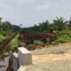 Irigasi Limunjan Proyek Terselubung – Diduga Proyek Siluman