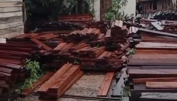 Tumpukan KayuIlegal Diduga Tak Dilengkapi Dokumen Legal di Berau, Penegak Hukum Diminta Periksa