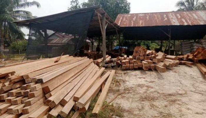 Pengolahan Kayu di Labanan Berau Diduga Tak Berizin, Warga Minta Aparat Turun Tangan