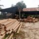 Pengolahan Kayu di Labanan Berau Diduga Tak Berizin, Warga Minta Aparat Turun Tangan