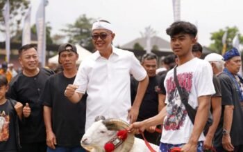 Ayep Zaki Dukung Lomba Ketangkasan Domba Garut, Dorong Wisata dan UMKM Sukabumi