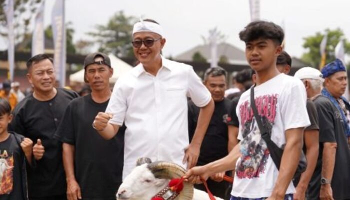 Ayep Zaki Dukung Lomba Ketangkasan Domba Garut, Dorong Wisata dan UMKM Sukabumi