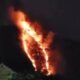 Kebakaran Hutan di Gunung Dulang Sukabumi, Petugas Damkar Siaga Antisipasi Api Merembet